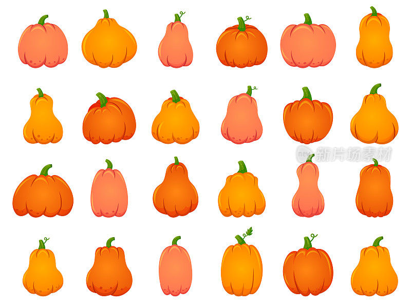 Halloween fall pumpkins. Cartoon traditional decoration, holiday orange pumpkin, october Halloween harvest isolated vector illustration icons set